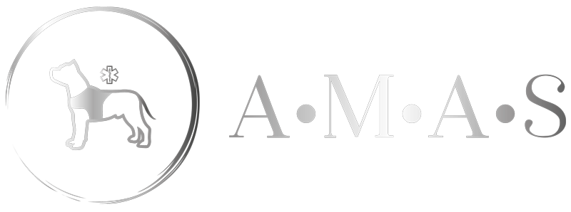 Asociación