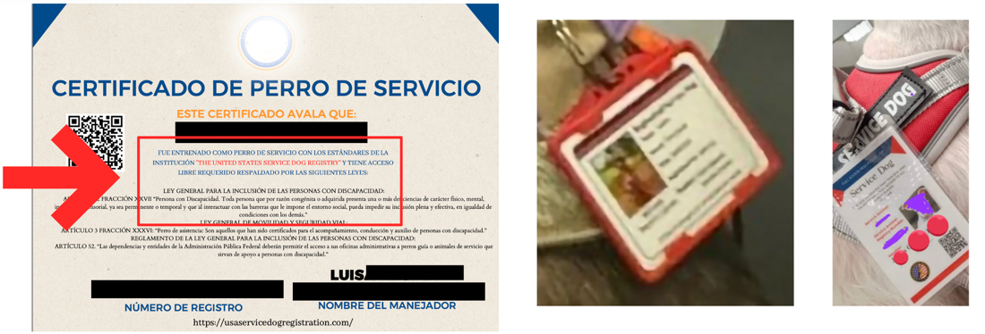 Falsificación de documentos en México