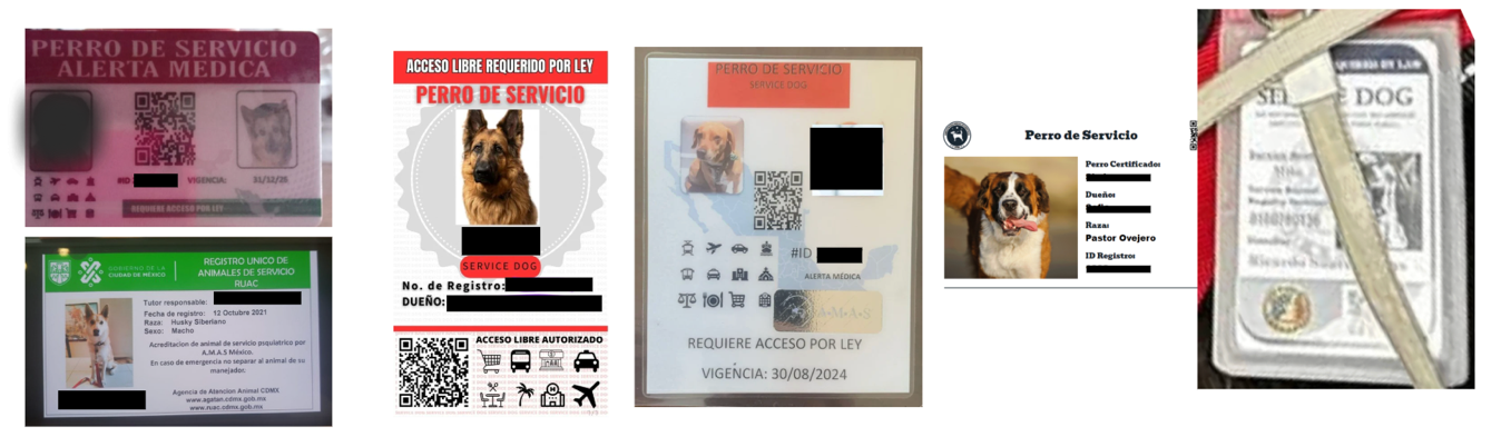 Falsificación de documentos en México