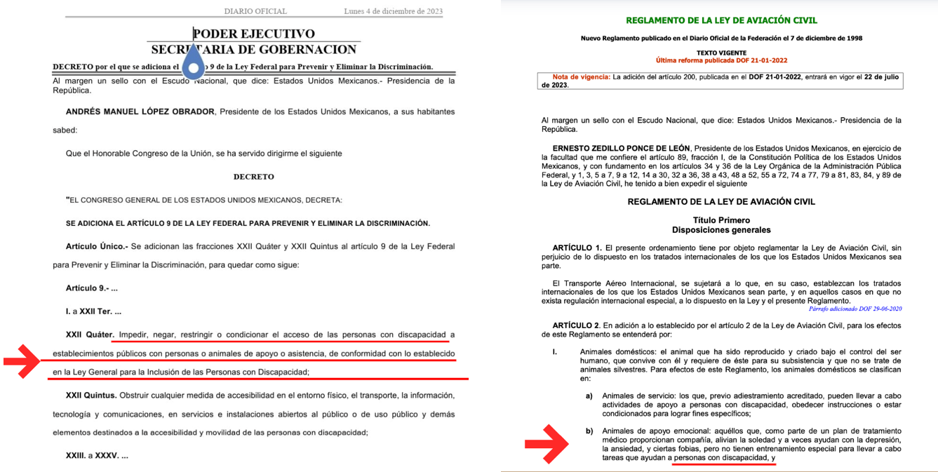 Falsificación de documentos en México