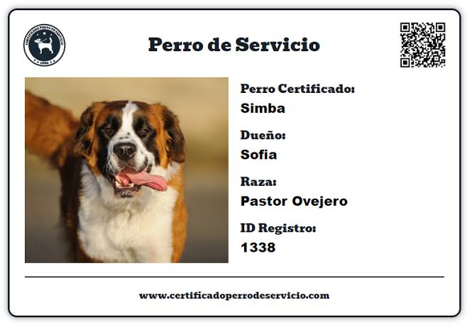 Certificaciones falsas 7