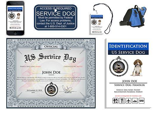 Certificaciones falsas 2
